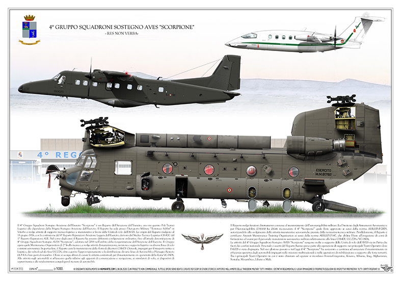 Squadron print 50° anniversario 4° Gruppo Squadroni Scorpione – CH-47F, DO228 e P180 EVO
